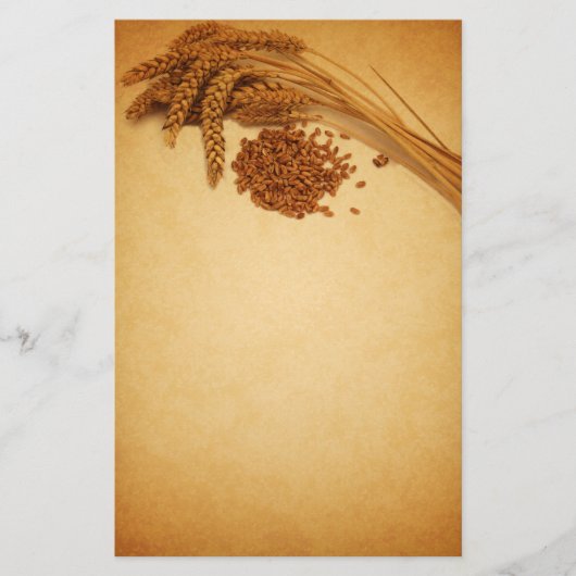 Autumn Wheat Corn - Stationery Letterhead Briefpapier (Voorkant)
