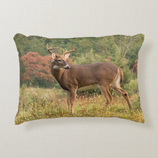 Autumn Whitetail Buck Accent Kussen