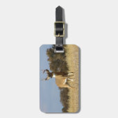 Autumn Whitetail Buck Bagagelabel (Voorkant verticaal)