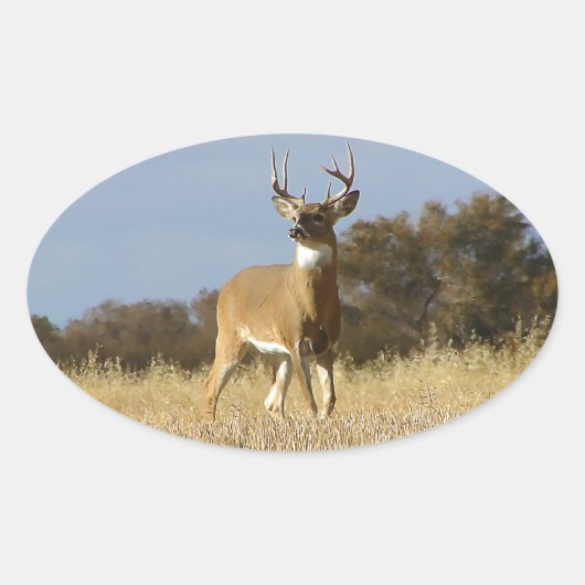 Autumn Whitetail Buck Ovale Sticker (Voorkant)