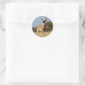 Autumn Whitetail Buck Ronde Sticker (Tas)