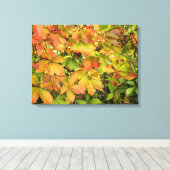 Autumn wilde wijnstokbladeren canvas afdruk (Insitu (Houten vloer))