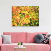 Autumn wilde wijnstokbladeren canvas afdruk (Insitu (Woonkamer))