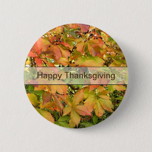 Autumn wilde wijnstokbladeren ronde button 5,7 cm (Voorkant)