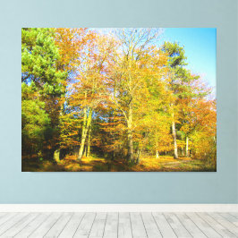 Autumn Woods & Sunshine - Canvas Afdruk