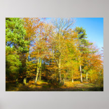 Autumn Woods & Sunshine - Personalised