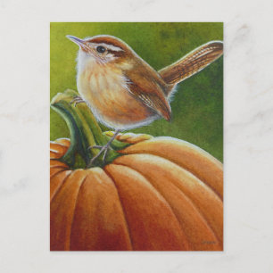 Autumn Wren Bird op Oranje pompoenWaterverf Art Briefkaart