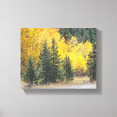 Autumn Yellow Aspen Trees Mountain Landscape Foto Canvas Afdruk (Voorkant)