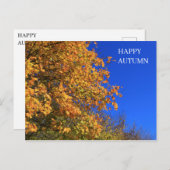 Autumn Yellow Forest Briefkaart (Voorkant / Achterkant)