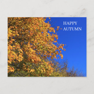 Autumn Yellow Forest Briefkaart