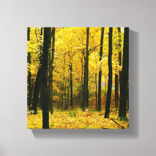Autumn Yellow Forest Canvas Afdruk