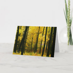 Autumn Yellow Forest Kaart