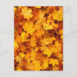 Autumn Yellow Maple Leaves Briefkaart