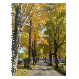 Autumn Yellow Path Spiral Notebook Notitieboek