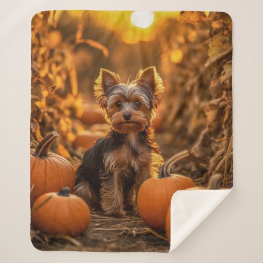 Autumn Yorkie Pup Sherpa Deken (Voorkant)