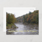 Autumn Yough Briefkaart (Voorkant / Achterkant)