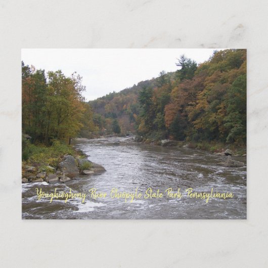 Autumn Yough Briefkaart (Voorkant)