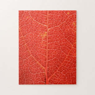 Autumnal Leaf Legpuzzel