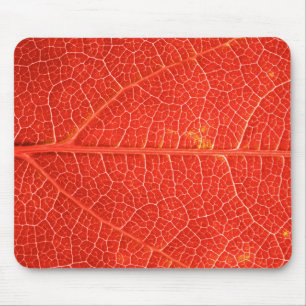 Autumnal Leaf Muismat