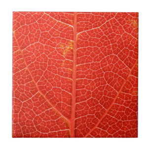 Autumnal Leaf Tegeltje