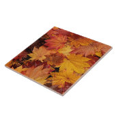 AUTUMNKLEUREN VAN GOLD TEGELTJE (Zijkant)