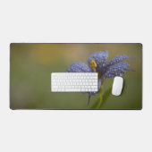 Aux yeux bleus brillants de rosée (Clavier et souris)