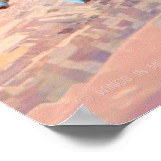 AV-8B HARRIER II POSTER (Hoek)