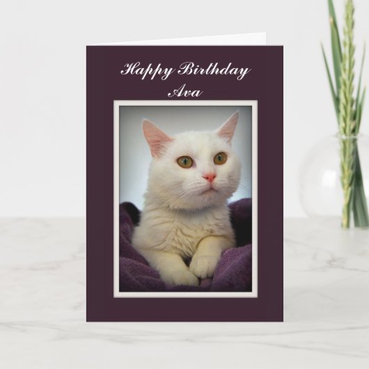 Ava Happy Birthday White Cat Kaart (Voorkant)