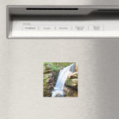Avalanche Falls Cascade New Hampshire Magnet (In Situ (Lave-vaisselle))