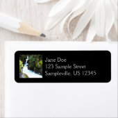 Avalanche Gorge I in Glacier National Park Etiket (Insitu)