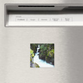 Avalanche Gorge I in Glacier National Park Magneet (Insitu (Vaatwasser))