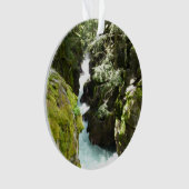 Avalanche Gorge II at Glacier National Park (devant)