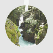 Avalanche Gorge II at Glacier National Park (dos)