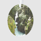 Avalanche Gorge II at Glacier National Park (devant)