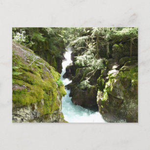 Avalanche Gorge II in Glacier National Park Briefkaart
