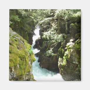 Avalanche Gorge II in Glacier National Park Magneet