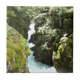 Avalanche Gorge II in Glacier National Park Tegeltje