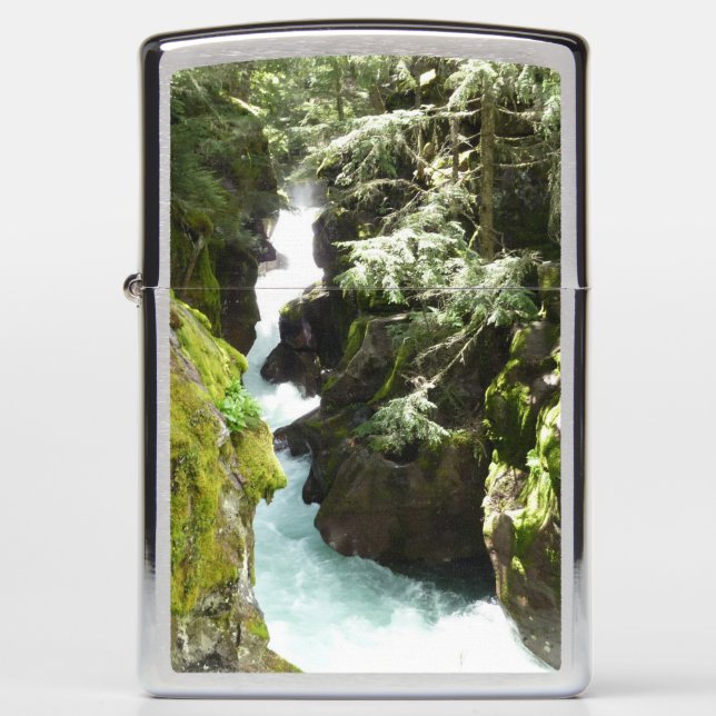 Avalanche Gorge II in het Nationaal Park Glacier (Voorkant)