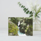 Avalanche Gorge II in het Nationaal Park Glacier Briefkaart (Staand voorkant)