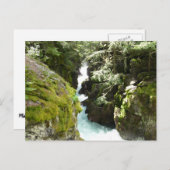 Avalanche Gorge II in het Nationaal Park Glacier Briefkaart (Voorkant / Achterkant)