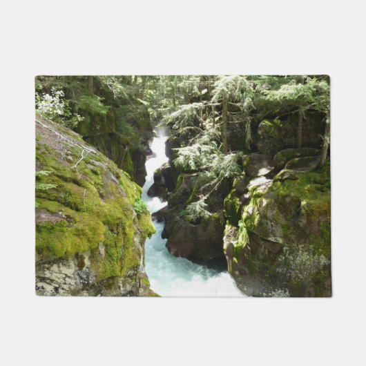 Avalanche Gorge II in het Nationaal Park Glacier Deurmat (Voorkant)