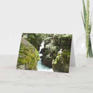 Avalanche Gorge II in het Nationaal Park Glacier Kaart