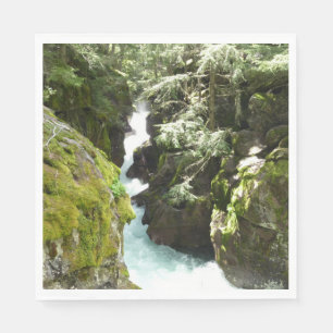 Avalanche Gorge II in het Nationaal Park Glacier Servet