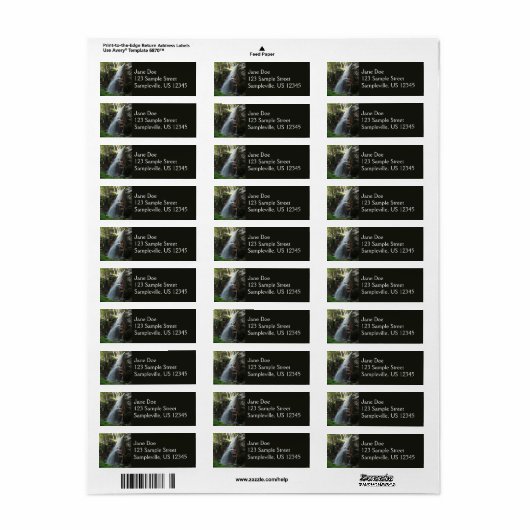 Avalanche Herfsten Etiket (Full Sheet)