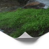 Avalanche Herfsten Poster (Hoek)