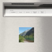 Avalanche Lake II in het Nationaal Park Glacier Magneet (Insitu (Vaatwasser))