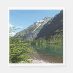Avalanche Lake II in het Nationaal Park Glacier Servet