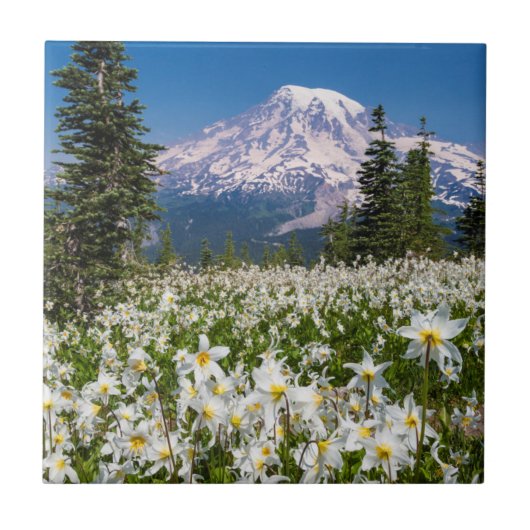 Avalanche lilies en Mount Rainier 2 Tegeltje (Voorkant)
