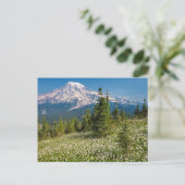 Avalanche lilies en Mount Rainier Briefkaart (Staand voorkant)