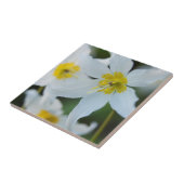 Avalanche Lilies in Paradise Park Tegeltje (Zijkant)